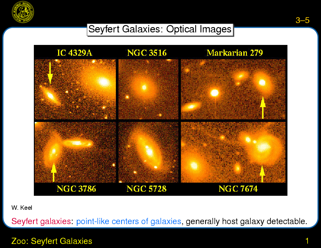 AGN Taxonomy : Zoo: Seyfert Galaxies