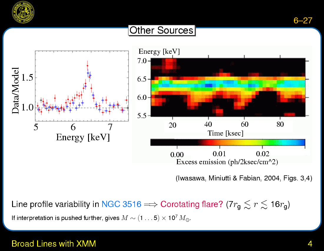 X-ray Continuum Emission and Broad Iron Lines : Broad Lines with XMM