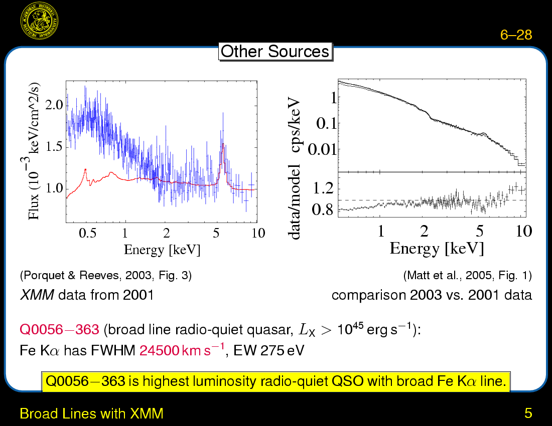 X-ray Continuum Emission and Broad Iron Lines : Broad Lines with XMM