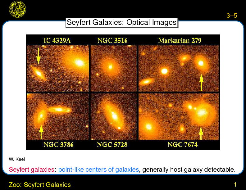 Chapter 3: AGN Taxonomy : Zoo: Seyfert Galaxies