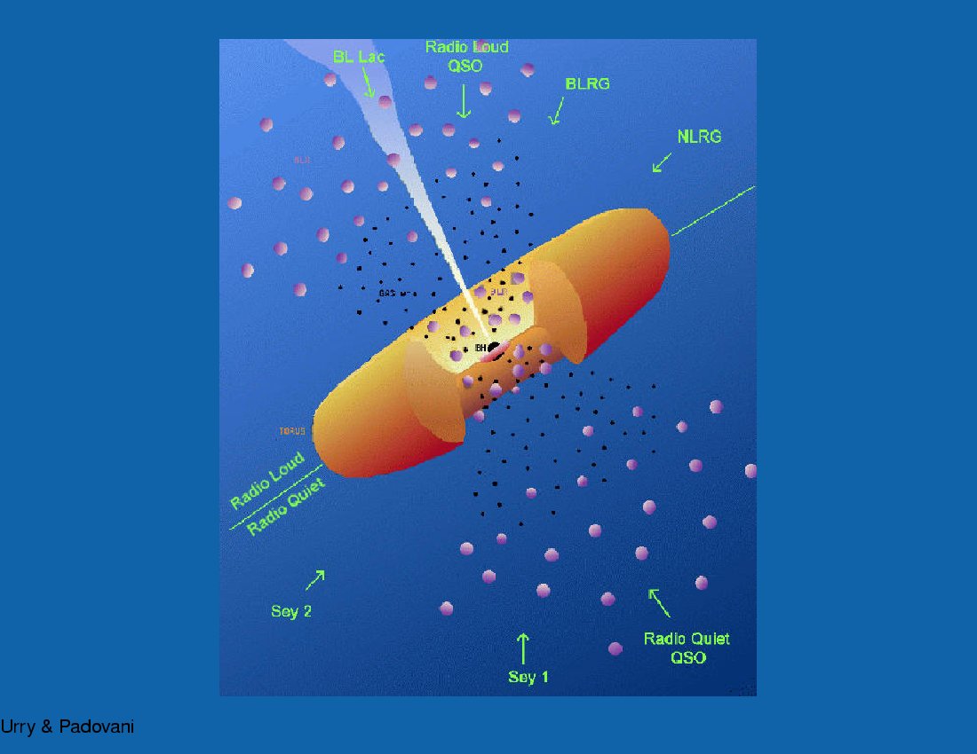 Active Galactic Nuclei : AGN