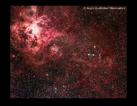 Magellanic Clouds: LMC: Distance