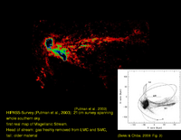 Magellanic Clouds: LMC and SMC