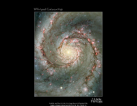 Molecules and Dust: The ISM of the Milky Way