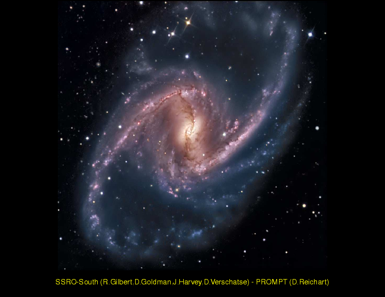 Chapter 4: Spiral Galaxies : Barred Disks