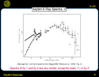 Seyfert Galaxies: Variability