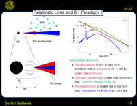 Seyfert Galaxies: Relativistic Lines and BH Paradigm