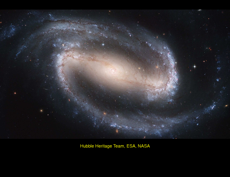 Chapter 4: Spiral Galaxies : Barred Disks