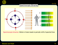Masses and Radii: Spectroscopic Binaries