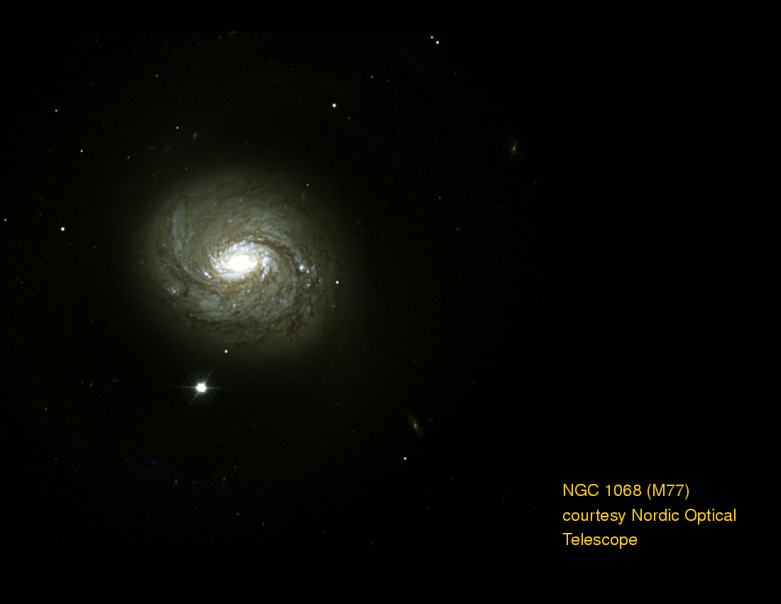 Active Galactic Nuclei : Seyfert Galaxies