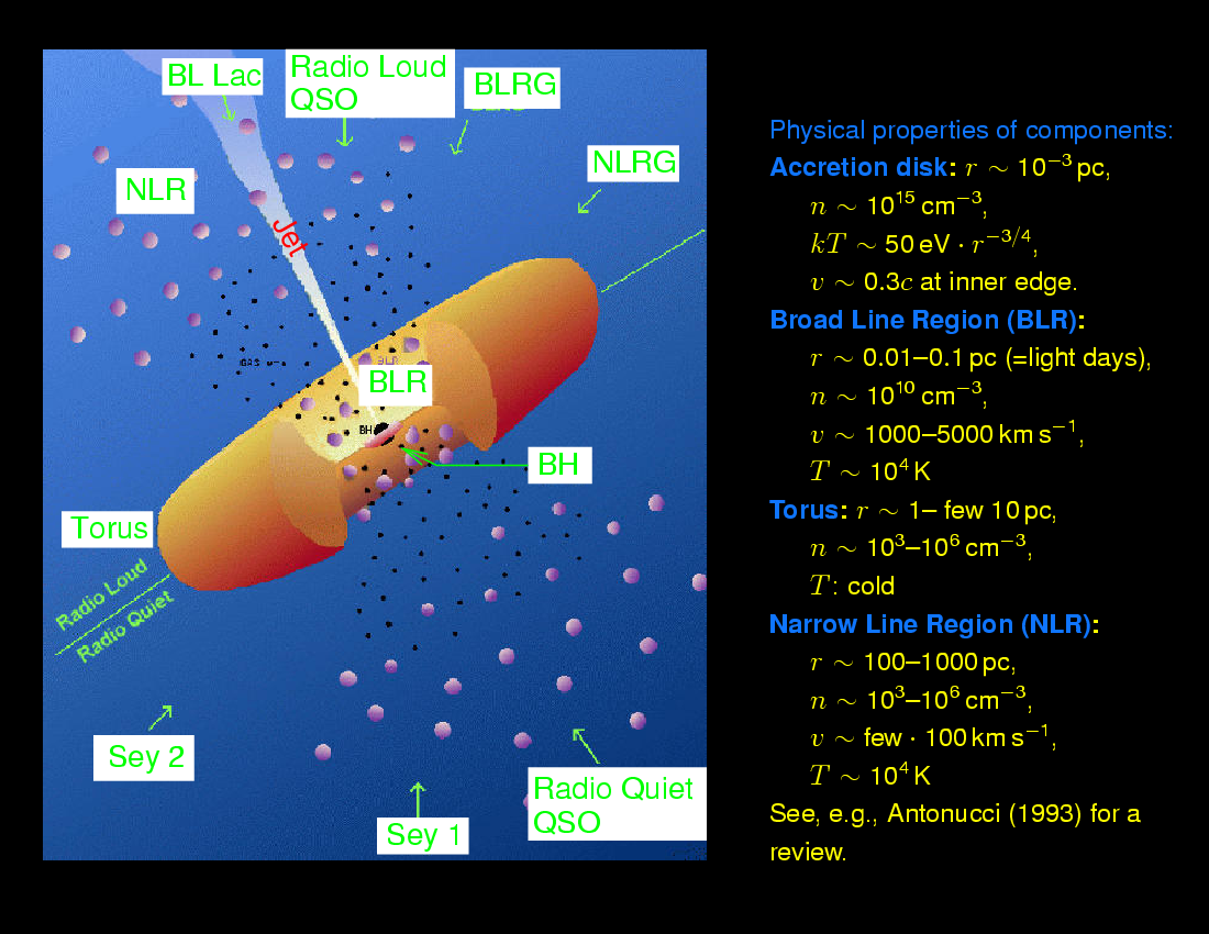 Active Galactic Nuclei : Unification