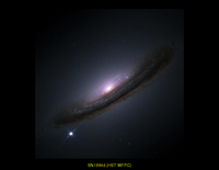 Supernovae: Extragalactic Supernovae