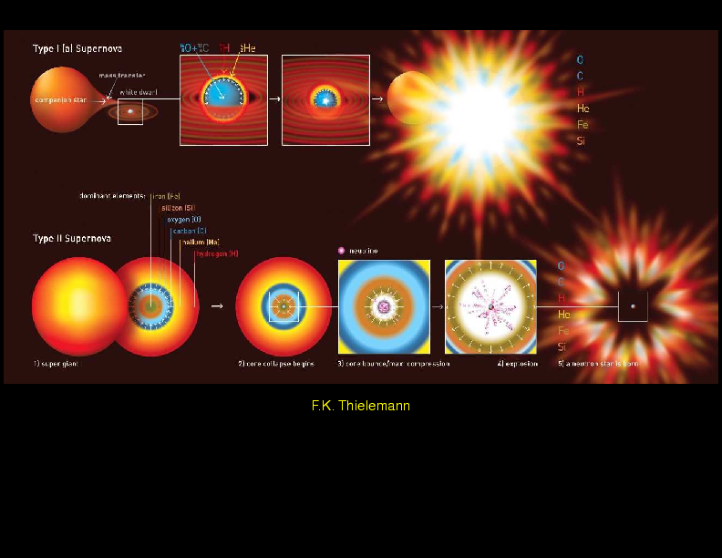 Chapter 16: Supernovae \& Gamma Ray Bursts : Nucleosynthesis