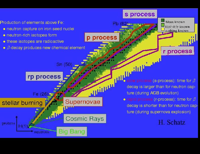 Chapter 16: Supernovae \& Gamma Ray Bursts : Nucleosynthesis