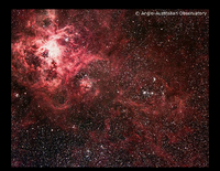 Supernovae: Evolution: SN1987a