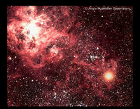 Supernovae: Evolution: SN1987a