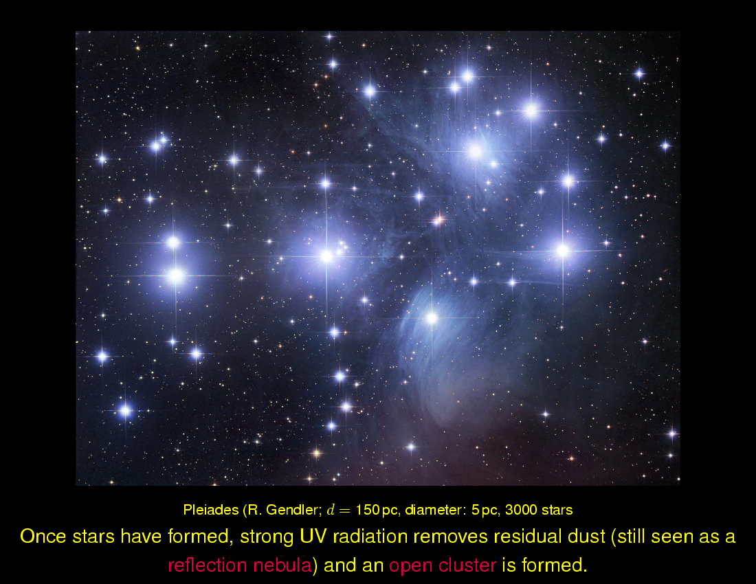 Stellar Structure and Evolution : Stellar Birth