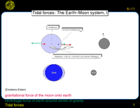 Tidal forces: Tidal forces: The Earth--Moon system