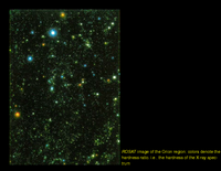 Late Type Stars: Stellar X-Rays