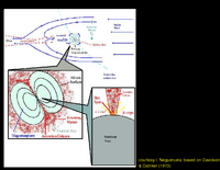 Neutron Star HMXBs: Magnetospheric accretion