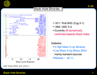 Black Hole Binaries: Black Hole Binaries