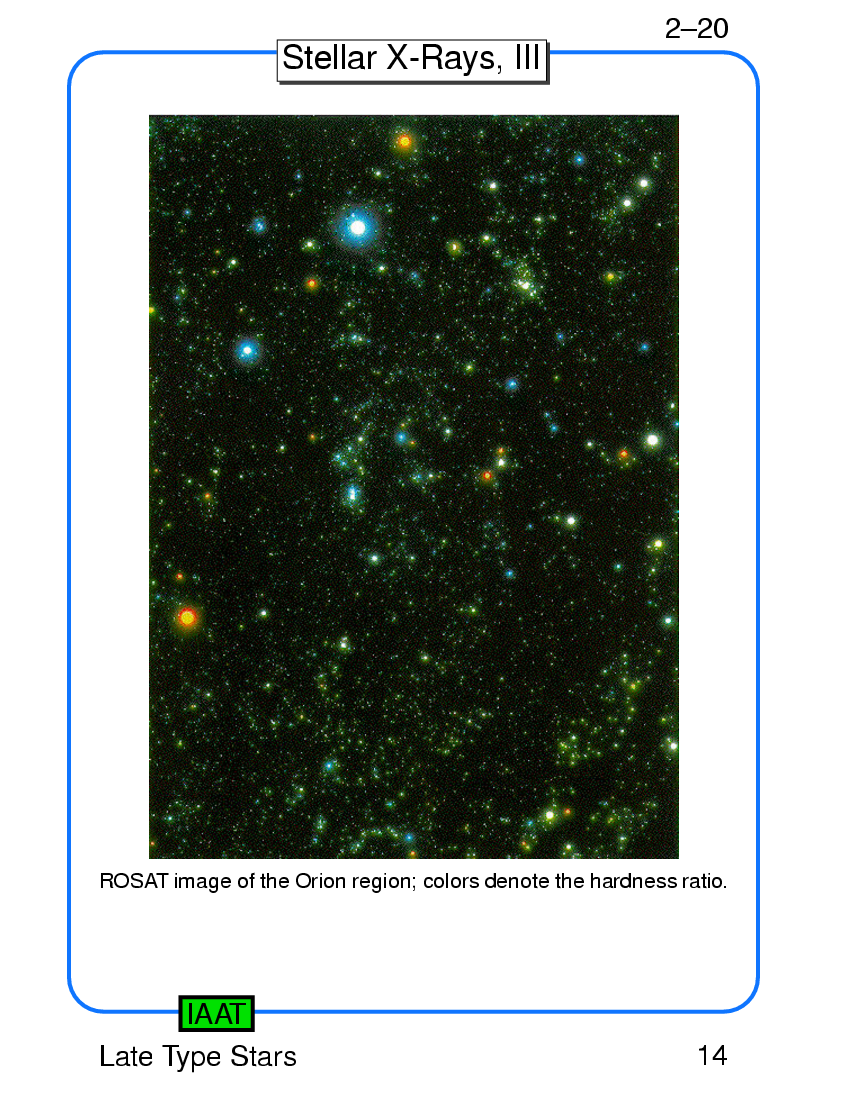 X-Rays from The Sun and the Stars : Late Type Stars