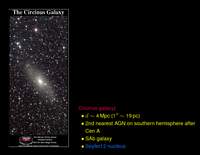 Imaging of NLR: Circinus Galaxy