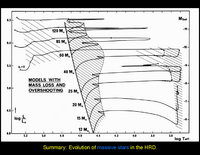 Stellar Evolution: Massive Stars