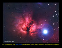Molecules: Carbon Monoxide: NGC 2024