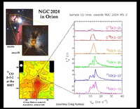Molecules: Carbon Monoxide: NGC 2024
