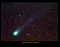 Comets: Discovery of cometary X-rays