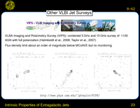 Intrinsic Properties of Extragalactic Jets: Other VLBI Jet Surveys